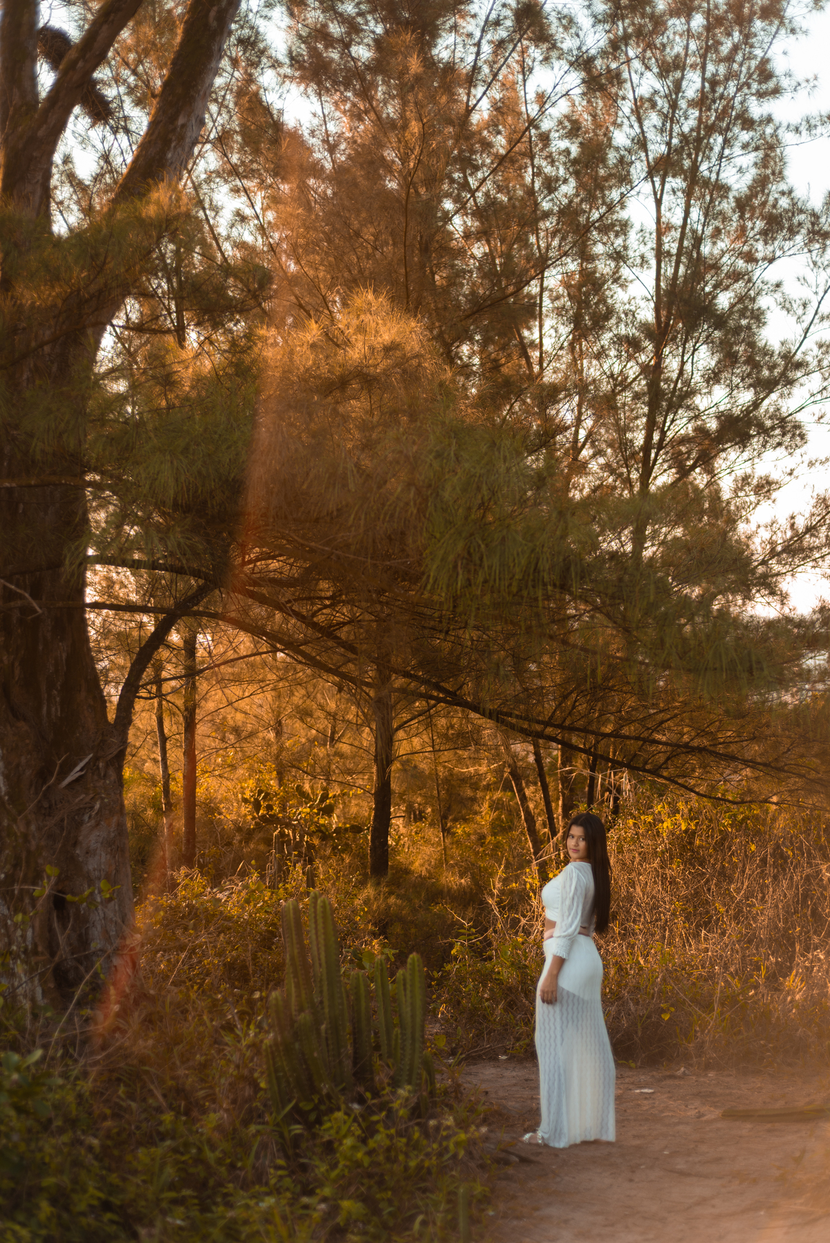 ensaio de 15 anos no verde