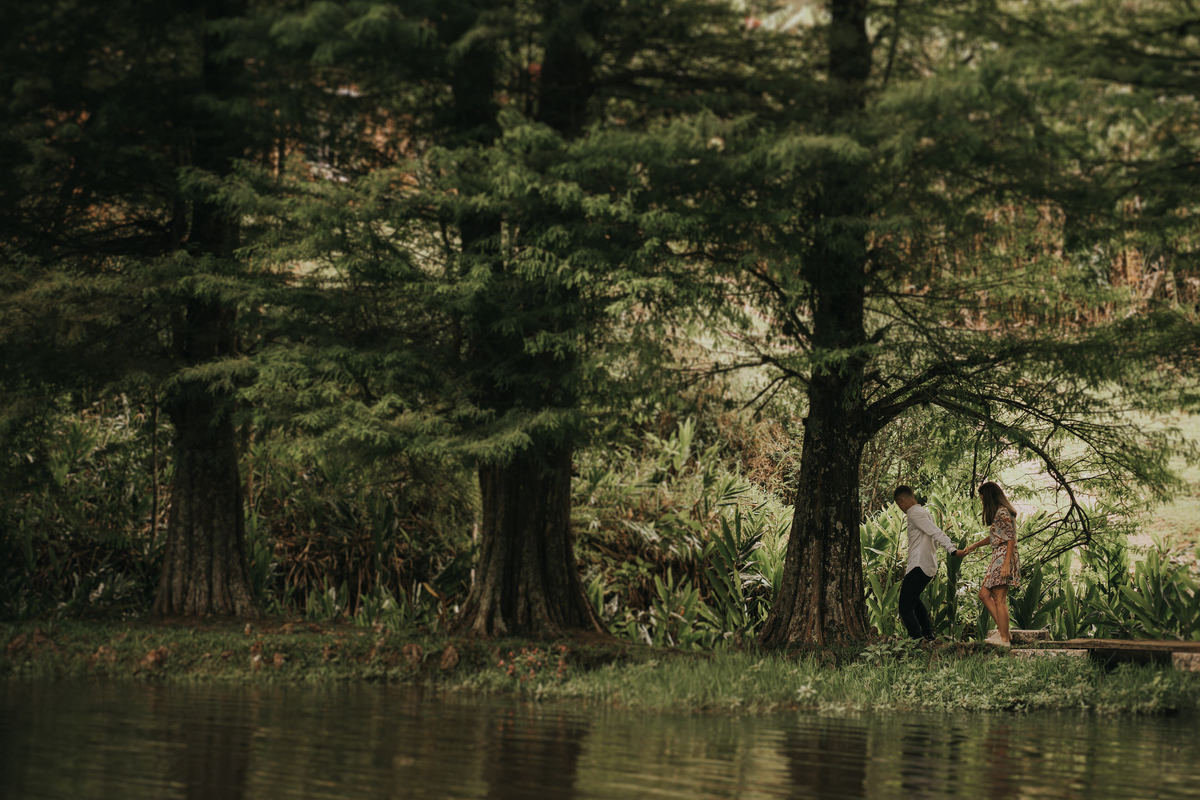 pedido de casamento, casamento, noivos, noiva, anel de noivado, aliança, pedido, wedding, pré-wedding, aliança de noivado, montanha, ensaio fotográfico, pedido na montanha