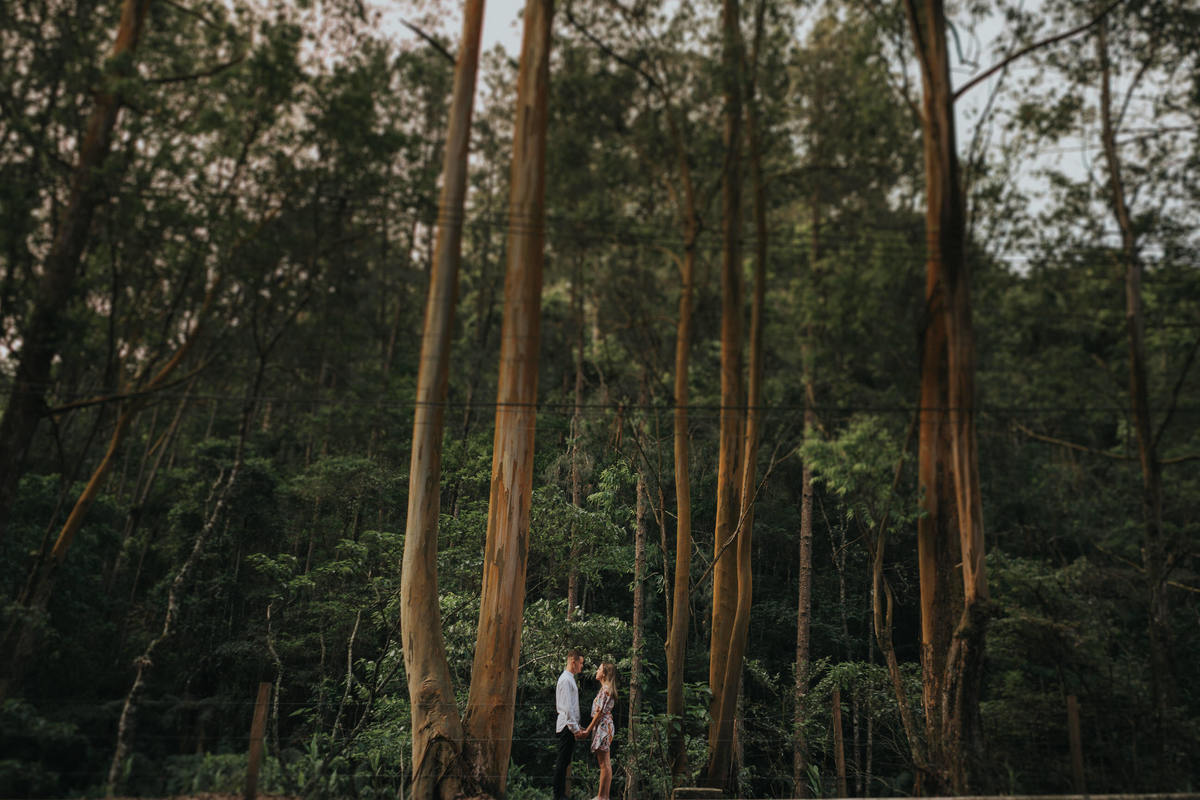 pedido de casamento, casamento, noivos, noiva, anel de noivado, aliança, pedido, wedding, pré-wedding, aliança de noivado, montanha, ensaio fotográfico, pedido na montanha