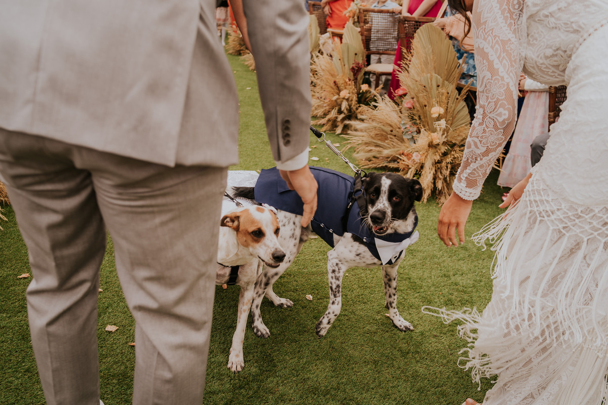 casamento, wedding, noiva, dia da noiva, bride, vestido de noiva, maquiagem de noiva, wedding dress, cerimônia de casamento, dia do noivo, casamento na praia, wedding dress, making of, casa170, balada de casamento, acessório noiva, pajens pet