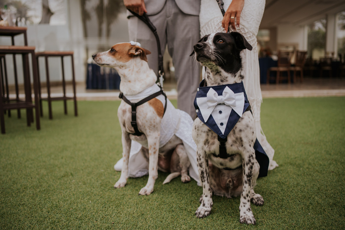 casamento, wedding, noiva, dia da noiva, bride, vestido de noiva, maquiagem de noiva, wedding dress, cerimônia de casamento, dia do noivo, casamento na praia, wedding dress, making of, casa170, balada de casamento, acessório noiva, pajens pet