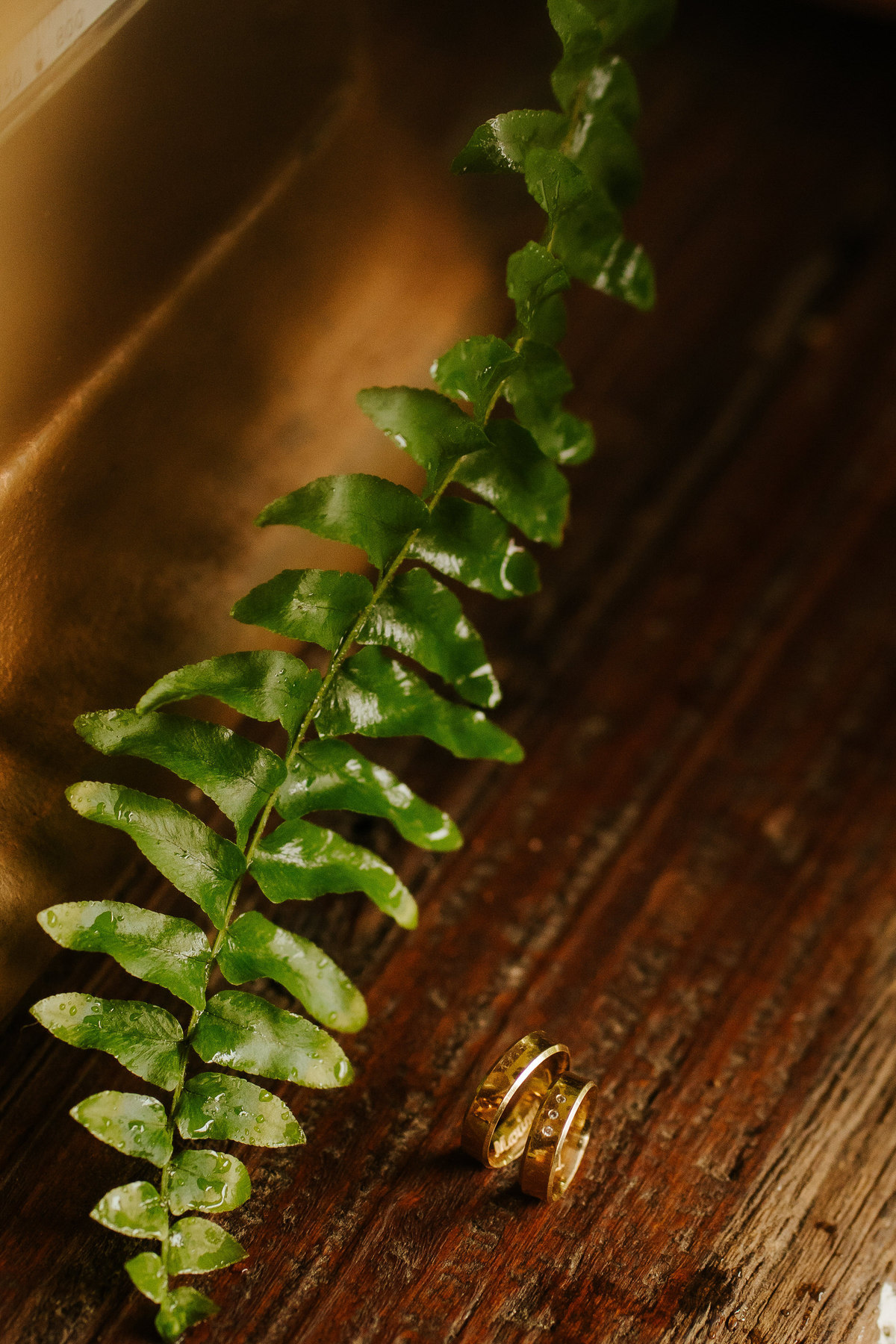 wedding, casamento, foto de casamento, fotografia de casamento, casamento no campo, madrinhas, vestido de noiva, wedding dress, dia da noiva, bride 