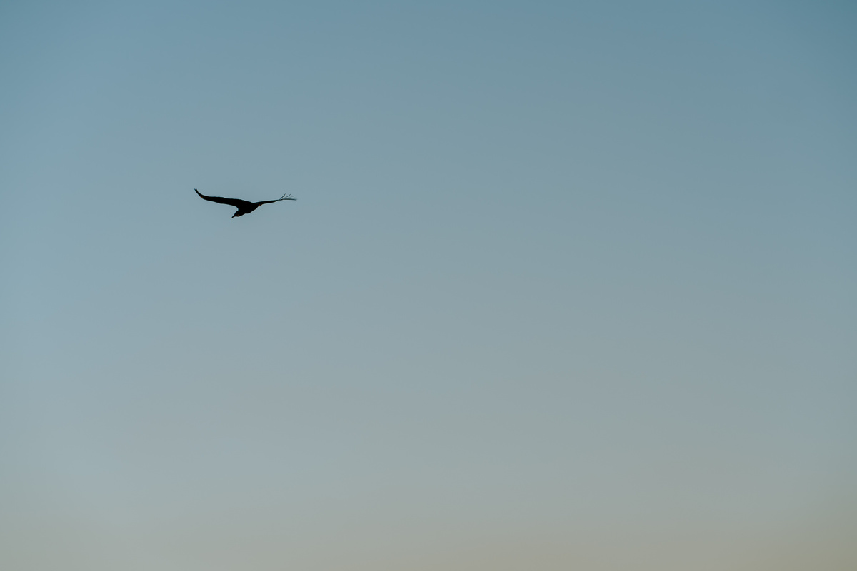 wedding, prewedding, pre-wedding, casamento, ensaio de casal, ensaio fotográfico de casal, ensaio fotográfico de noivos, noivos, noiva, anel de noivado, fotos de casal, ensaio fotográfico em holambra, fotos em holambra