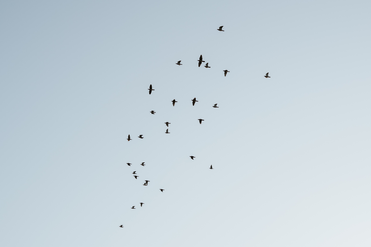 lagoa azul, lagoa santa luzia, prewedding, pré-wedding, ensaio fotográfico, ensaio de foto, foto de casal, foto de noivos, noivos, ensaio fotográfico de casal, ensaio fotográfico de noivos, fotos de casal