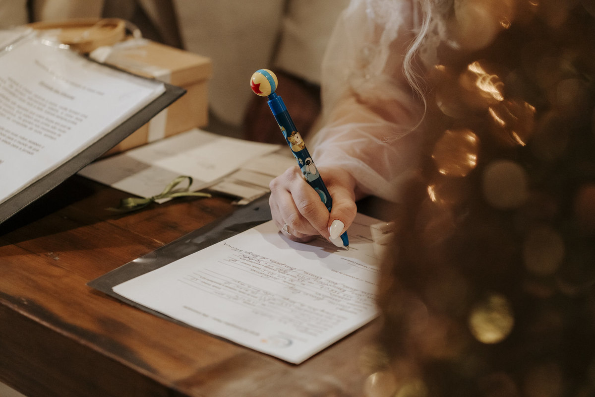 casamento, wedding, noiva, dia da noiva, bride, vestido de noiva, maquiagem de noiva, cerimônia de casamento, dia do noivo, sítio são jorge, casamento temático, disney, casamento tema disney