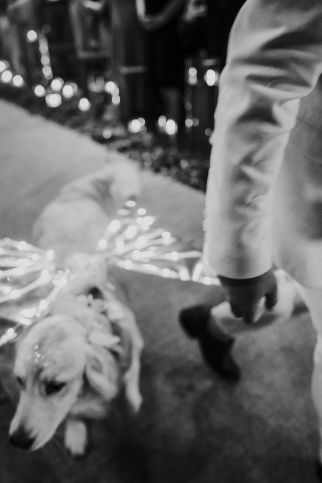 casamento, wedding, noiva, dia da noiva, bride, vestido de noiva, maquiagem de noiva, cerimônia de casamento, dia do noivo, sítio são jorge, casamento temático, disney, casamento tema disney