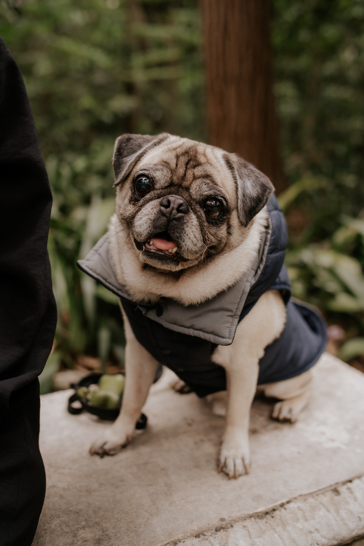 casal, fotos de casal, pré-wedding, pre-wedding, fotografia de casal, wedding, noivos