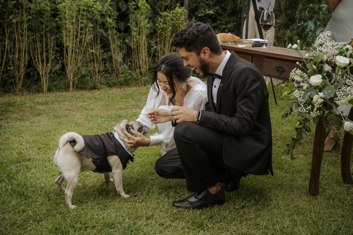 wedding, casamento, pre-wedding, mini wedding, casamento externo, cerimônia externo, casamento no campo, dia da noiva, wedding dress, vestido de noiva, noivos, fotografia de casamento, foto de casamento, fotógrafo de casamento, casamento intimista