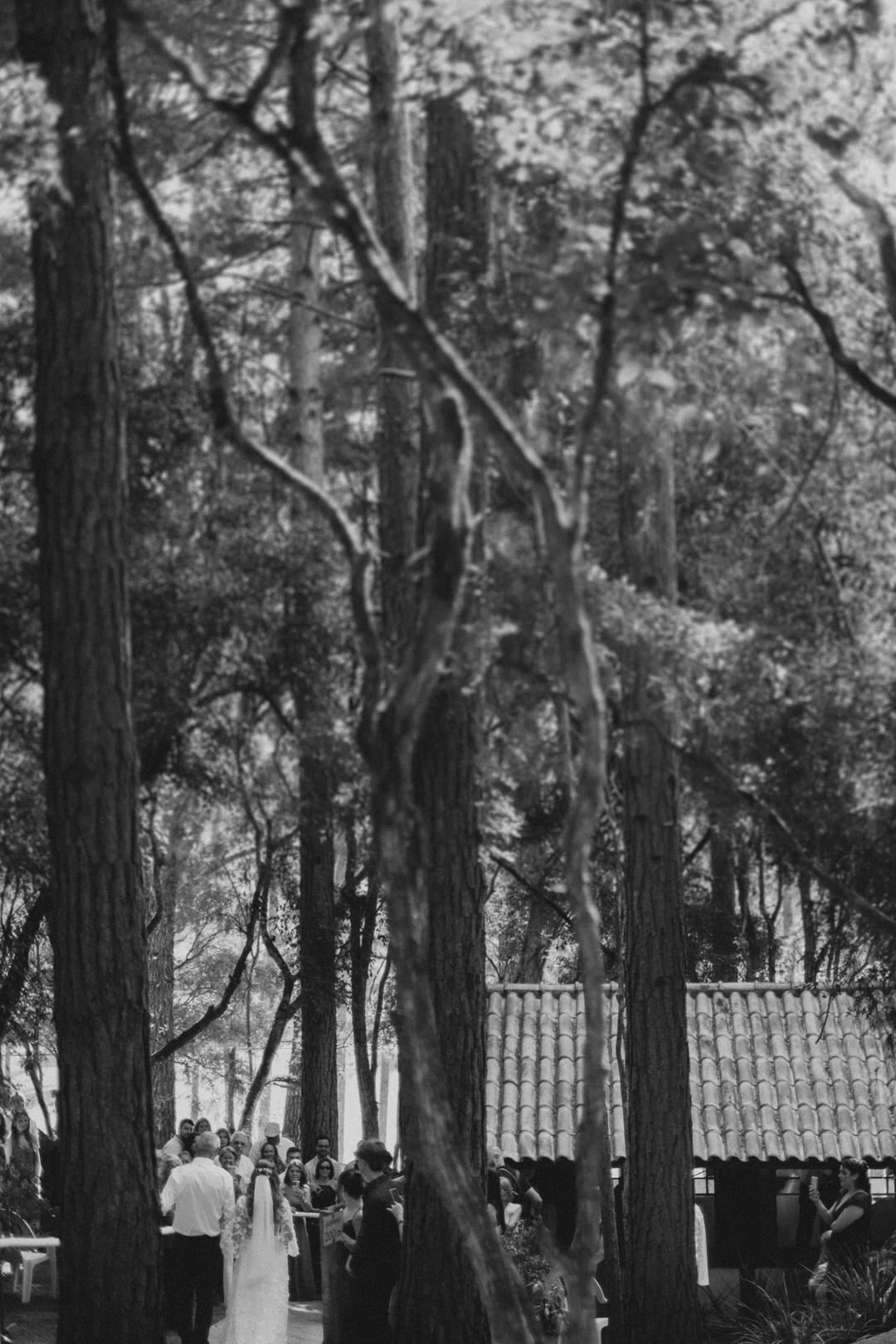 wedding, casamento, pre-wedding, mini wedding, casamento externo, cerimônia externo, casamento no campo, dia da noiva, wedding dress, vestido de noiva, noivos, fotografia de casamento, foto de casamento, fotógrafo de casamento, casamento intimista