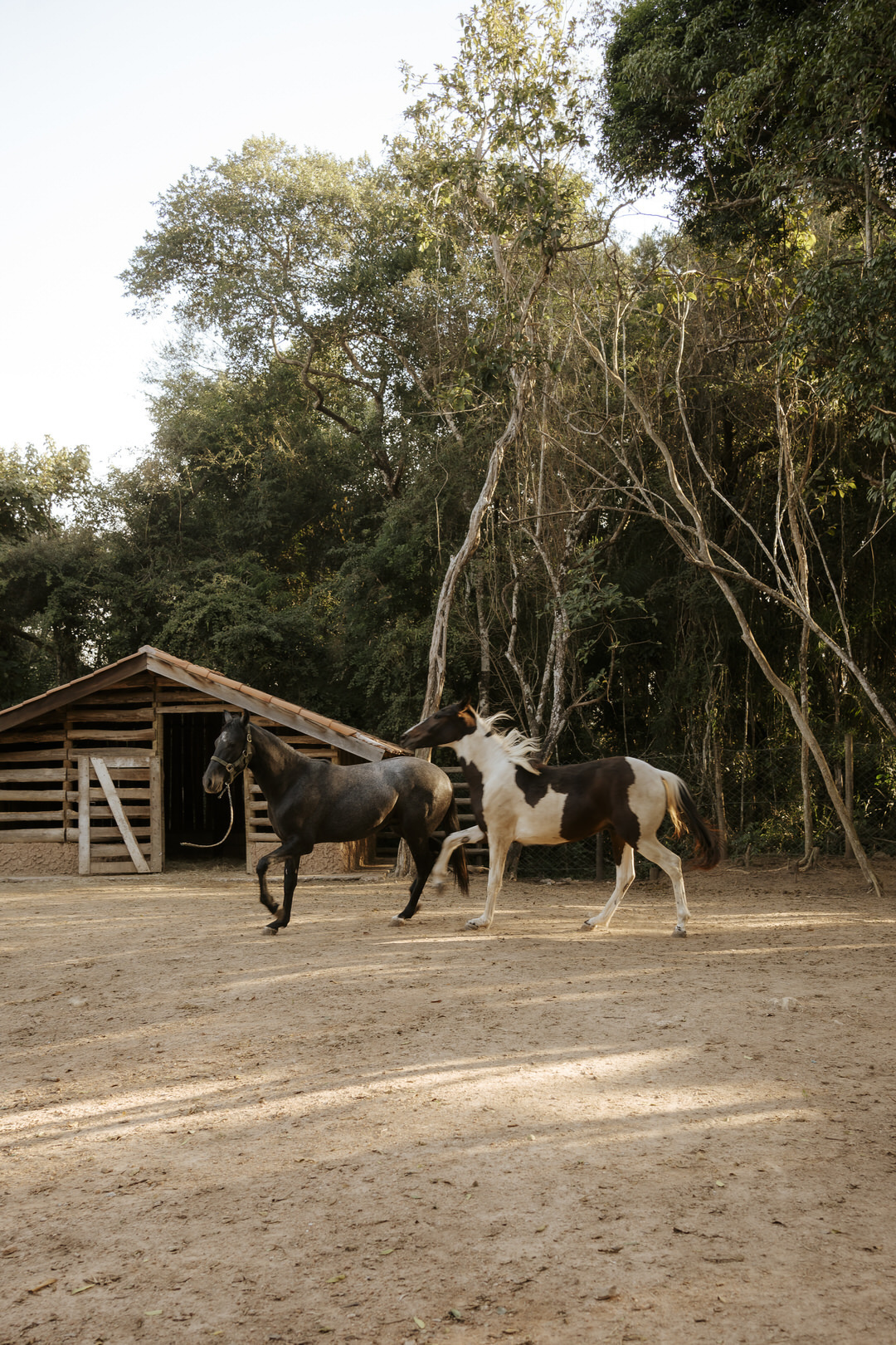 wedding, casamento, pre-wedding, mini wedding, casamento externo, cerimônia externo, casamento no campo, dia da noiva, wedding dress, vestido de noiva, noivos, fotografia de casamento, foto de casamento, fotógrafo de casamento, casamento intimista