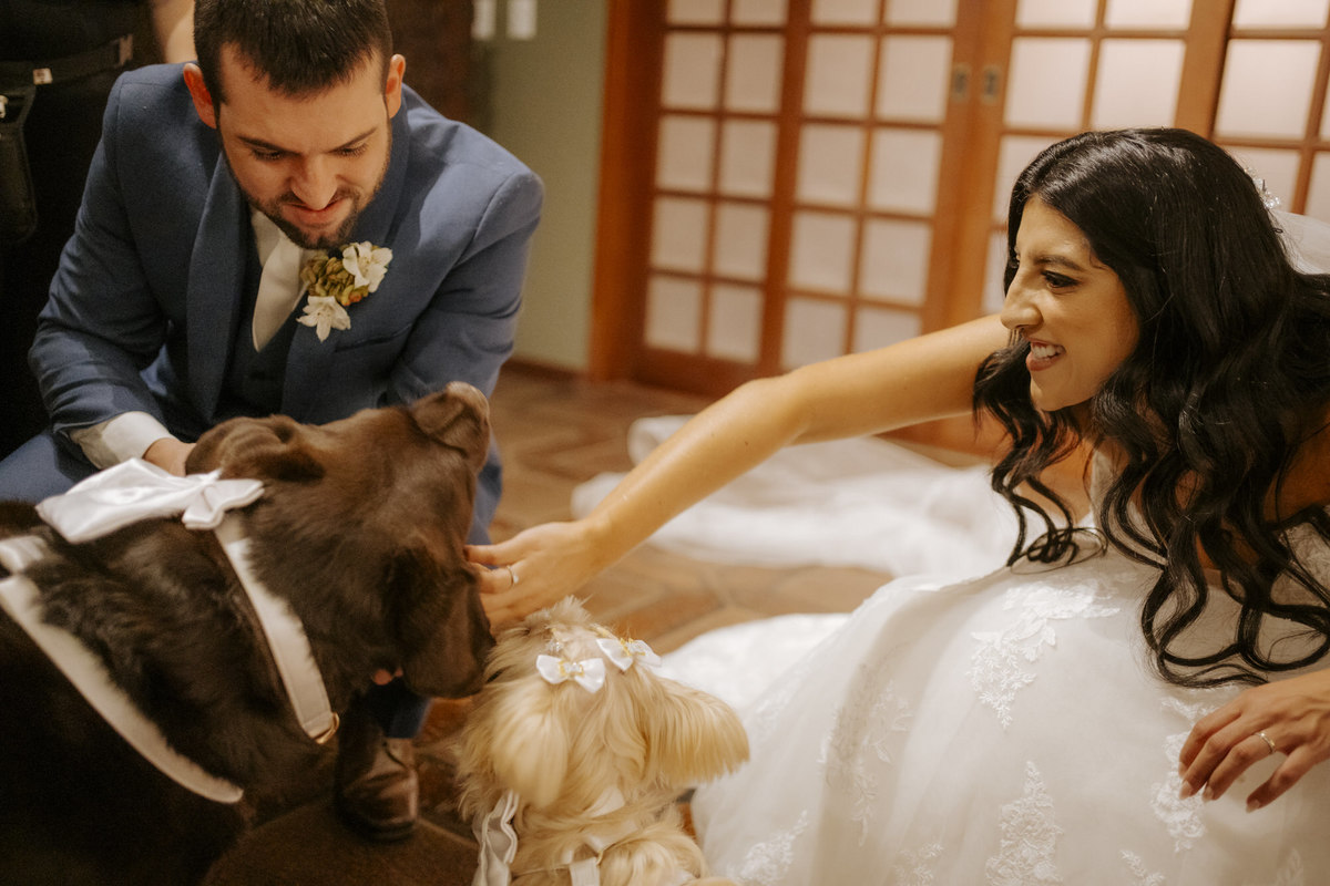 wedding, casamento, pre-wedding, destination wedding, casamento externo, cerimônia externo, casamento no campo, dia da noiva, wedding dress, vestido de noiva, noivos, fotografia de casamento, foto de casamento, fotógrafo de casamento