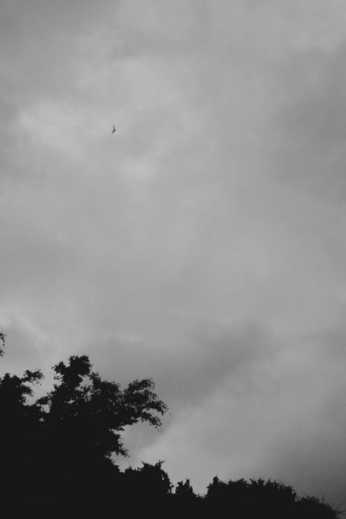 casamento em Ilhabela, vila salga, casamento à beira mar, casamento em capela, cerimônia íntima, cerimônia na praia, casamento na praia, casamento no vila salga, cerimônia pé na areia, duas cerimônias, duas vestidos de noiva, noiva na praia