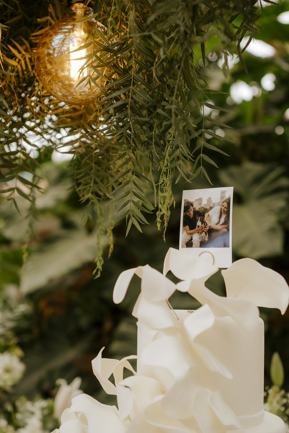 wedding, casamento, casamento externo, casamento ao ar livre, reserva maranhão,  dia da noiva, casamento embaixo de árvore, cerimônia embaixo de árvore, cerimônia ao ar livre, noivos, casamento em sorocaba