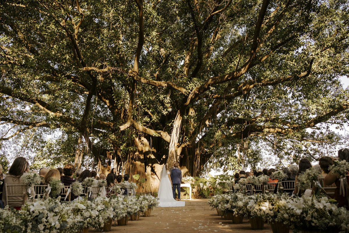 wedding, casamento, casamento externo, casamento ao ar livre, reserva maranhão,  dia da noiva, casamento embaixo de árvore, cerimônia embaixo de árvore, cerimônia ao ar livre, noivos, casamento em sorocaba