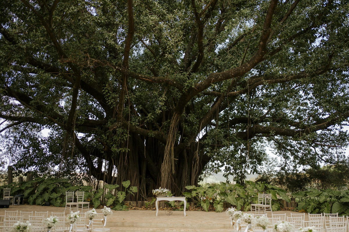 wedding, casamento, casamento externo, casamento ao ar livre, reserva maranhão,  dia da noiva, casamento embaixo de árvore, cerimônia embaixo de árvore, cerimônia ao ar livre, noivos, casamento em sorocaba