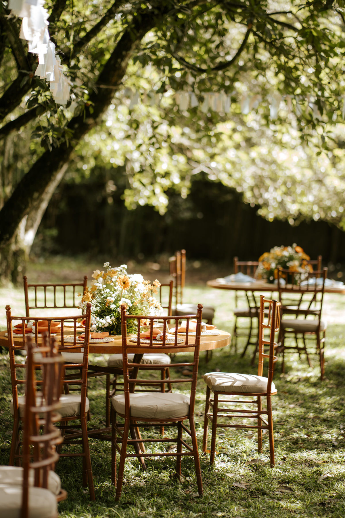wedding, casamento, casamento externo, casamento ao ar livre,  dia da noiva, casamento embaixo de árvore, cerimônia ao ar livre, noivos