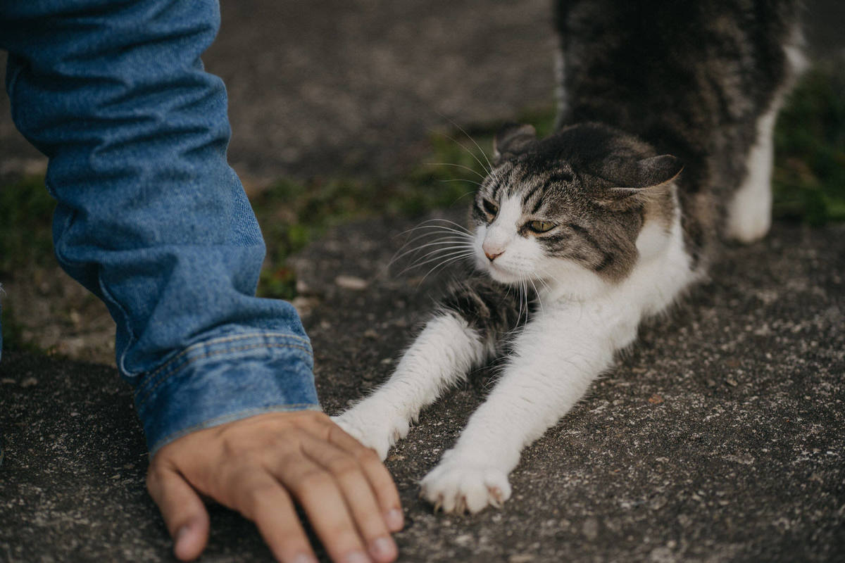 ensaio casal, paranapiacaba, pré-wedding