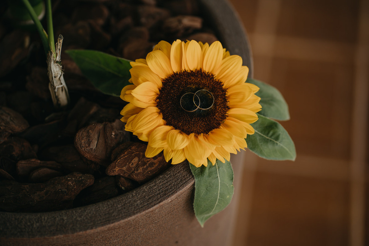 casamento, casamento no campo, mini wedding, eco espaço eventos, casamento minimalista, wedding