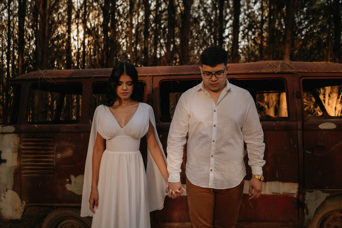 pré-wedding, ensaio fotográfico, fotos, sítio das borboletas, noiva, noivos, noivado, wedding, casamento, fotos de casal, ensaio de casal, fotos no campo, balanço, montanha