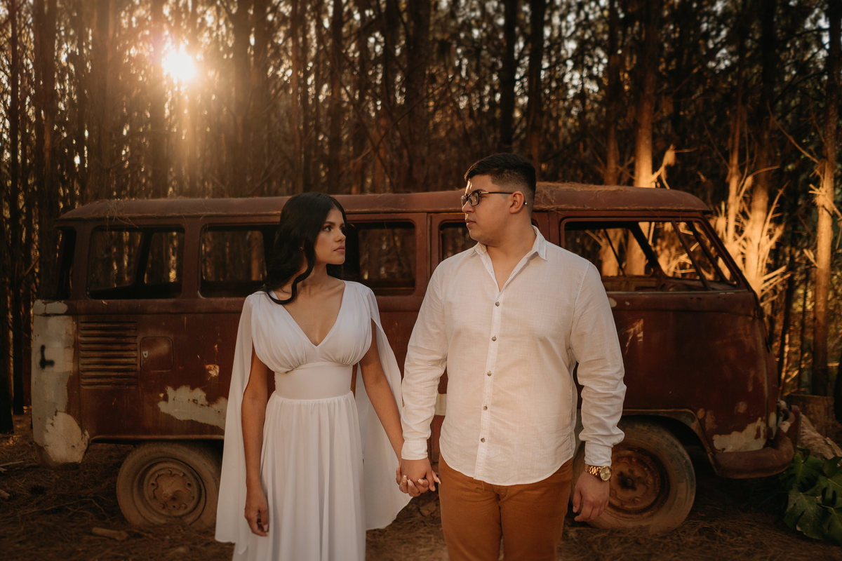 pré-wedding, ensaio fotográfico, fotos, sítio das borboletas, noiva, noivos, noivado, wedding, casamento, fotos de casal, ensaio de casal, fotos no campo, balanço, montanha