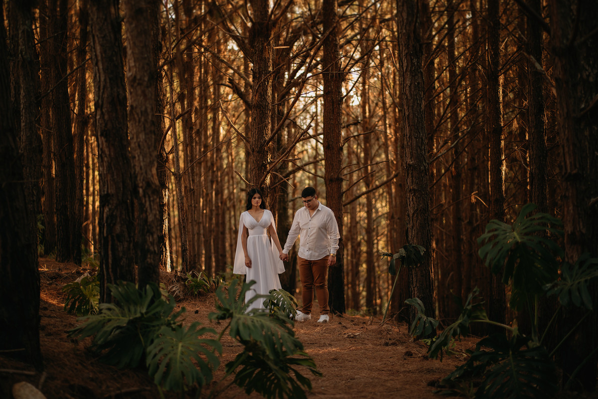 pré-wedding, ensaio fotográfico, fotos, sítio das borboletas, noiva, noivos, noivado, wedding, casamento, fotos de casal, ensaio de casal, fotos no campo, balanço, montanha