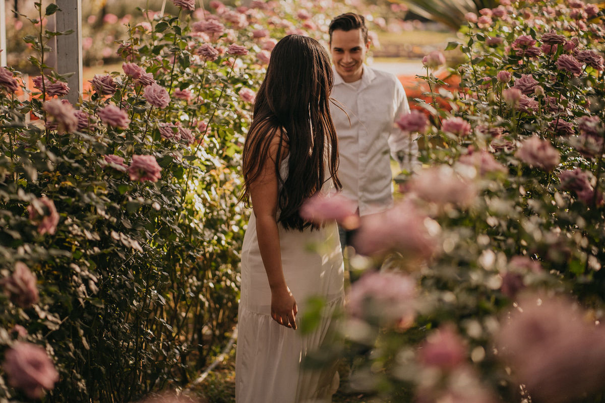 ensaio, ensaio fotográfico, ensaio fotográfico de casal, pré-wedding, fotos de casais, foto de noivos, ensaio de noivos, holambra, ensaio de casal de namorados, ensaio de foto de noivos em holambra, pre-wedding holambra