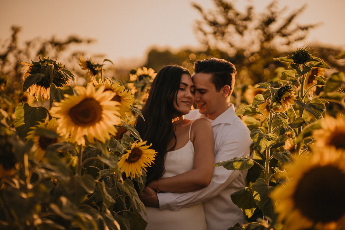 ensaio, ensaio fotográfico, ensaio fotográfico de casal, pré-wedding, fotos de casais, foto de noivos, ensaio de noivos, holambra, ensaio de casal de namorados, ensaio de foto de noivos em holambra, pre-wedding holambra