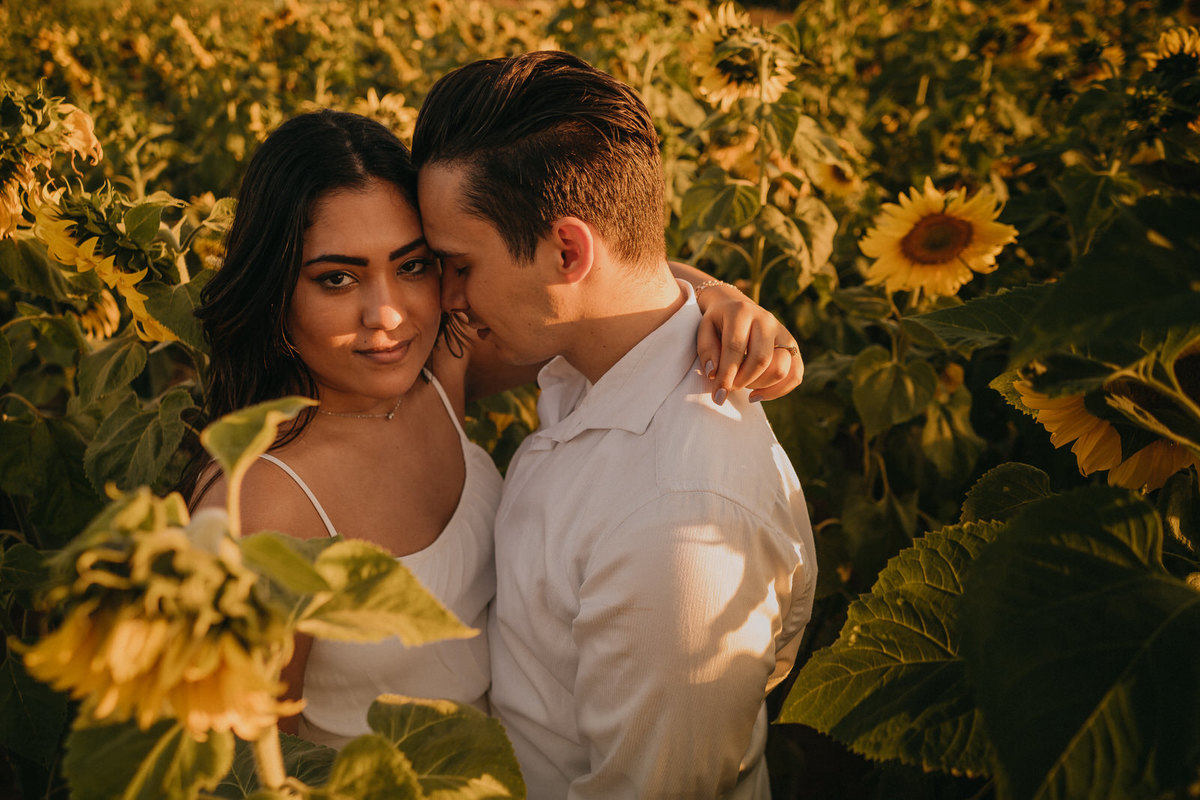 ensaio, ensaio fotográfico, ensaio fotográfico de casal, pré-wedding, fotos de casais, foto de noivos, ensaio de noivos, holambra, ensaio de casal de namorados, ensaio de foto de noivos em holambra, pre-wedding holambra