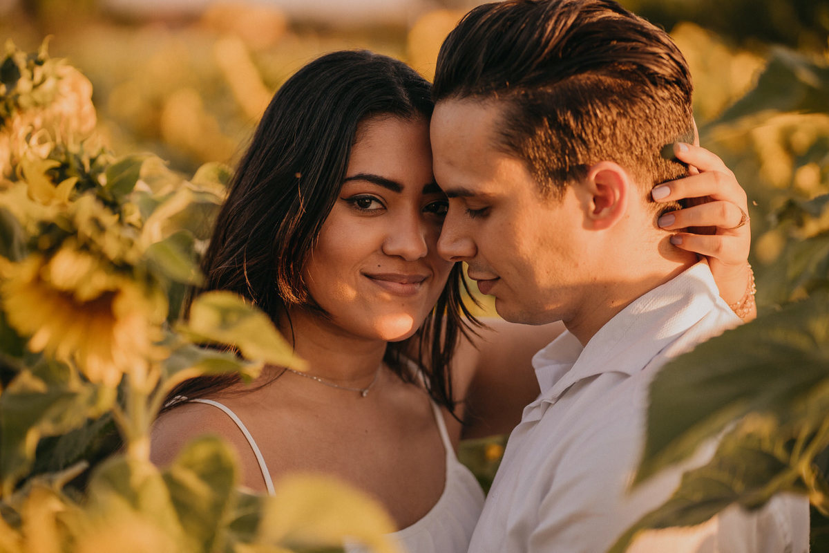 ensaio, ensaio fotográfico, ensaio fotográfico de casal, pré-wedding, fotos de casais, foto de noivos, ensaio de noivos, holambra, ensaio de casal de namorados, ensaio de foto de noivos em holambra, pre-wedding holambra
