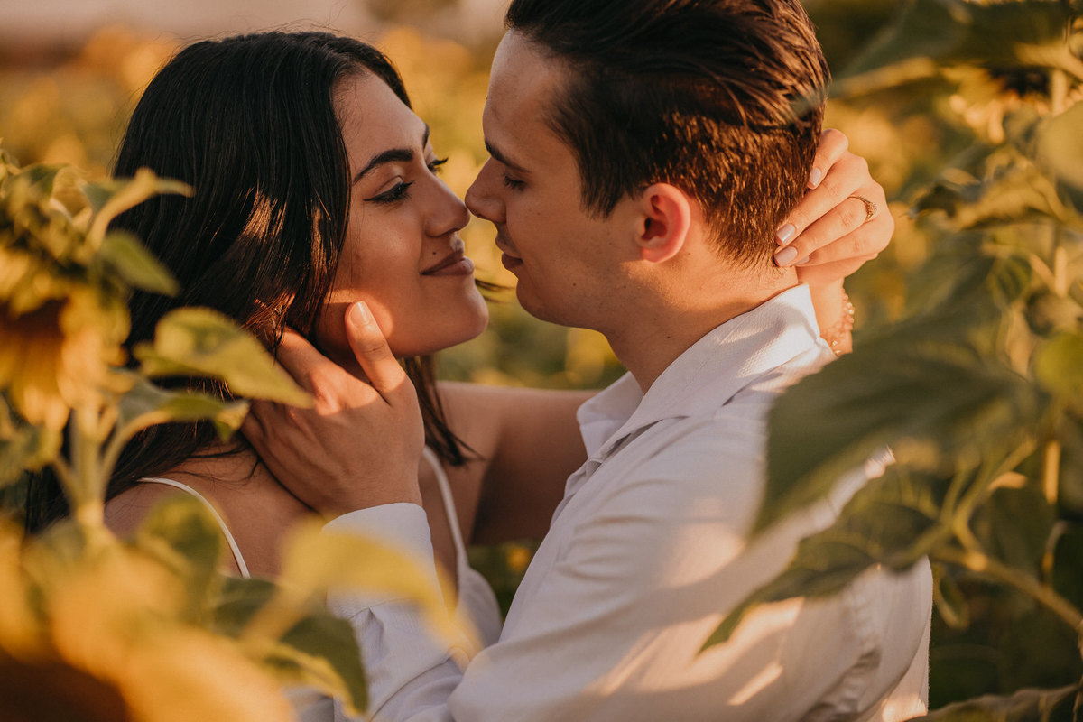ensaio, ensaio fotográfico, ensaio fotográfico de casal, pré-wedding, fotos de casais, foto de noivos, ensaio de noivos, holambra, ensaio de casal de namorados, ensaio de foto de noivos em holambra, pre-wedding holambra