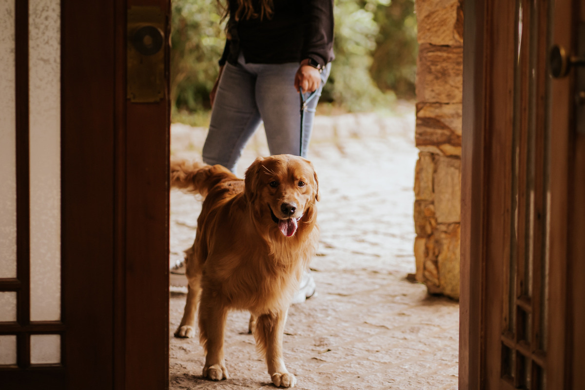 casamento, wedding, casamento no campo, noiva, dia da noiva, bride, vestido de noiva, maquiagem de noiva, wedding dress, cerimônia de casamento, afrikan house 