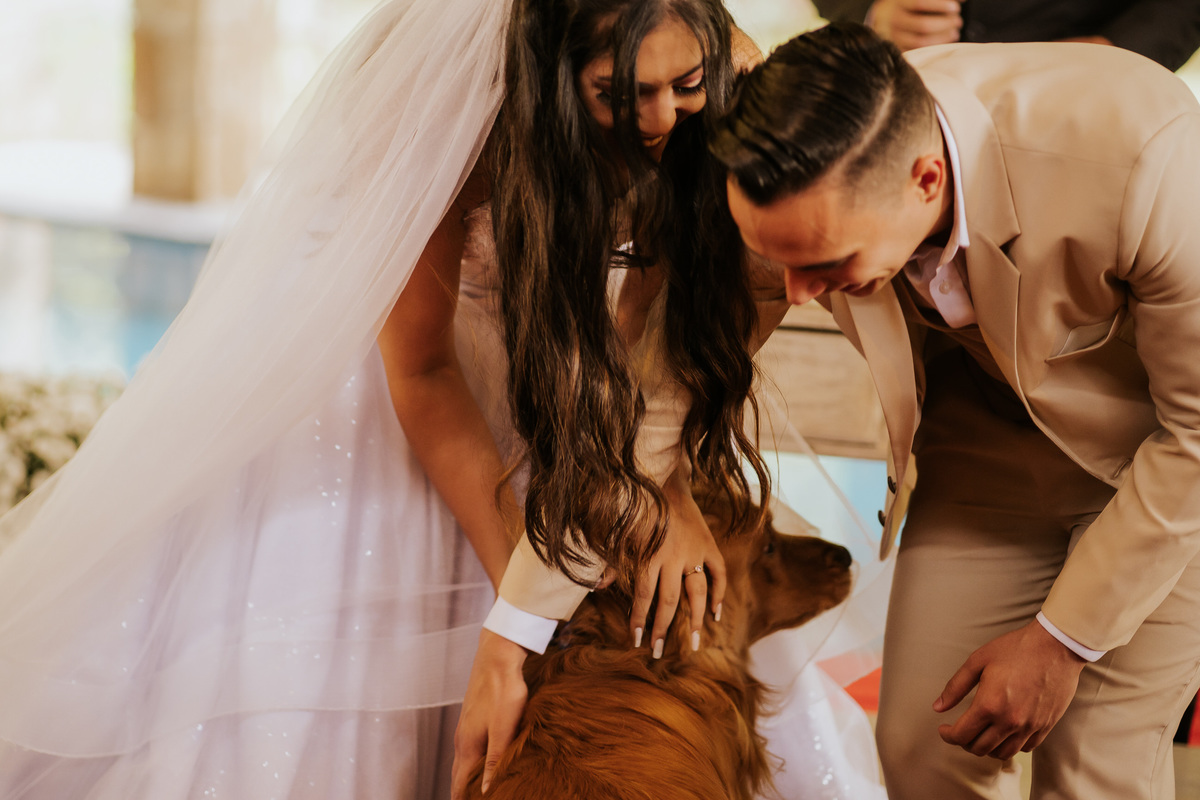 casamento, wedding, casamento no campo, noiva, dia da noiva, bride, vestido de noiva, maquiagem de noiva, wedding dress, cerimônia de casamento, afrikan house, cachorro pajem