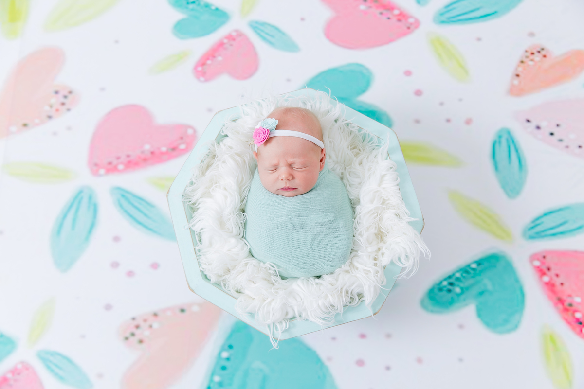 cestinho de newborn fundo de coracao bebe enrolado no wrap  newborn de menina  bebe galega flash bebe de bruco ensaio newborn em estudio newborn em santos newborn na baixada jo e le farah