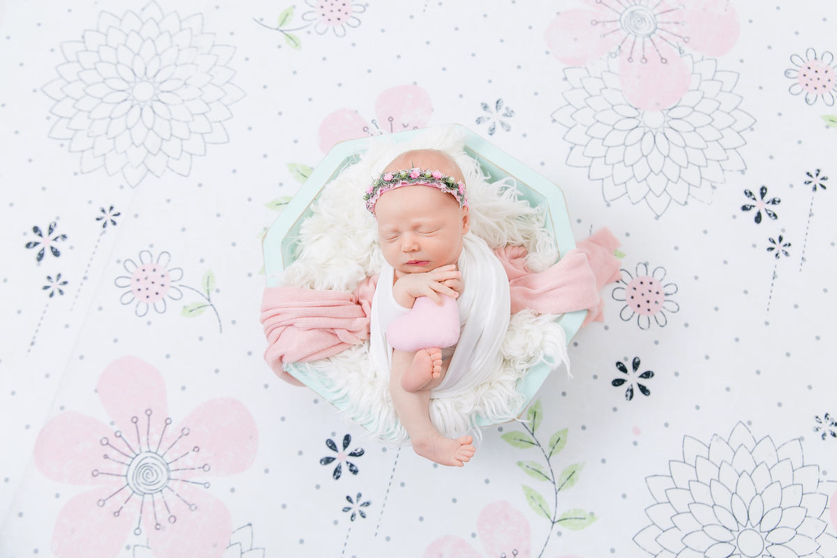 cestinho de newborn fundo de flor bebe segurando coracao bebe enrolado no wrap  newborn de menina  bebe galega flash bebe de bruco ensaio newborn em estudio newborn em santos newborn na baixada jo e le farah