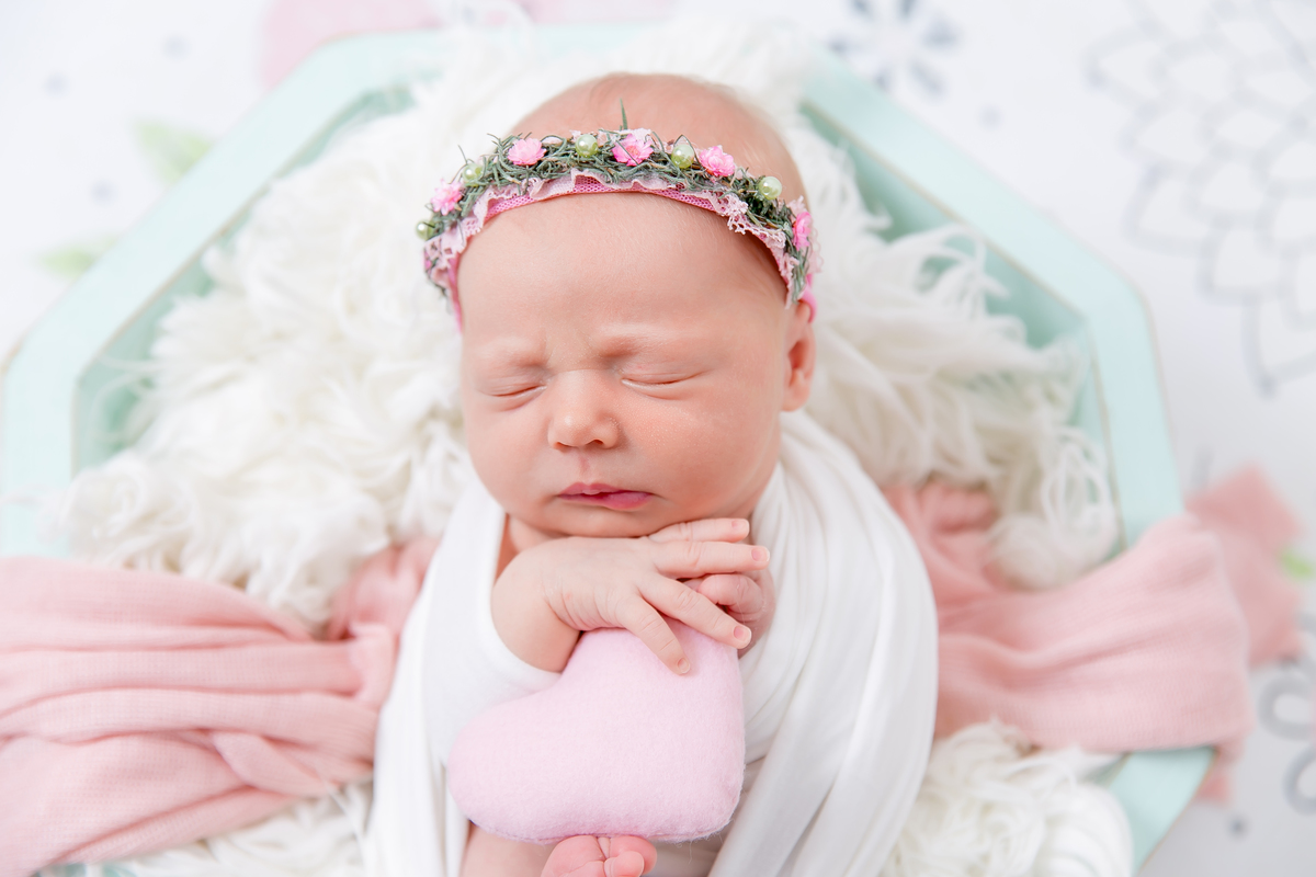 cestinho de newborn fundo de flor bebe segurando coracao bebe enrolado no wrap  newborn de menina  bebe galega flash bebe de bruco ensaio newborn em estudio newborn em santos newborn na baixada jo e le farah