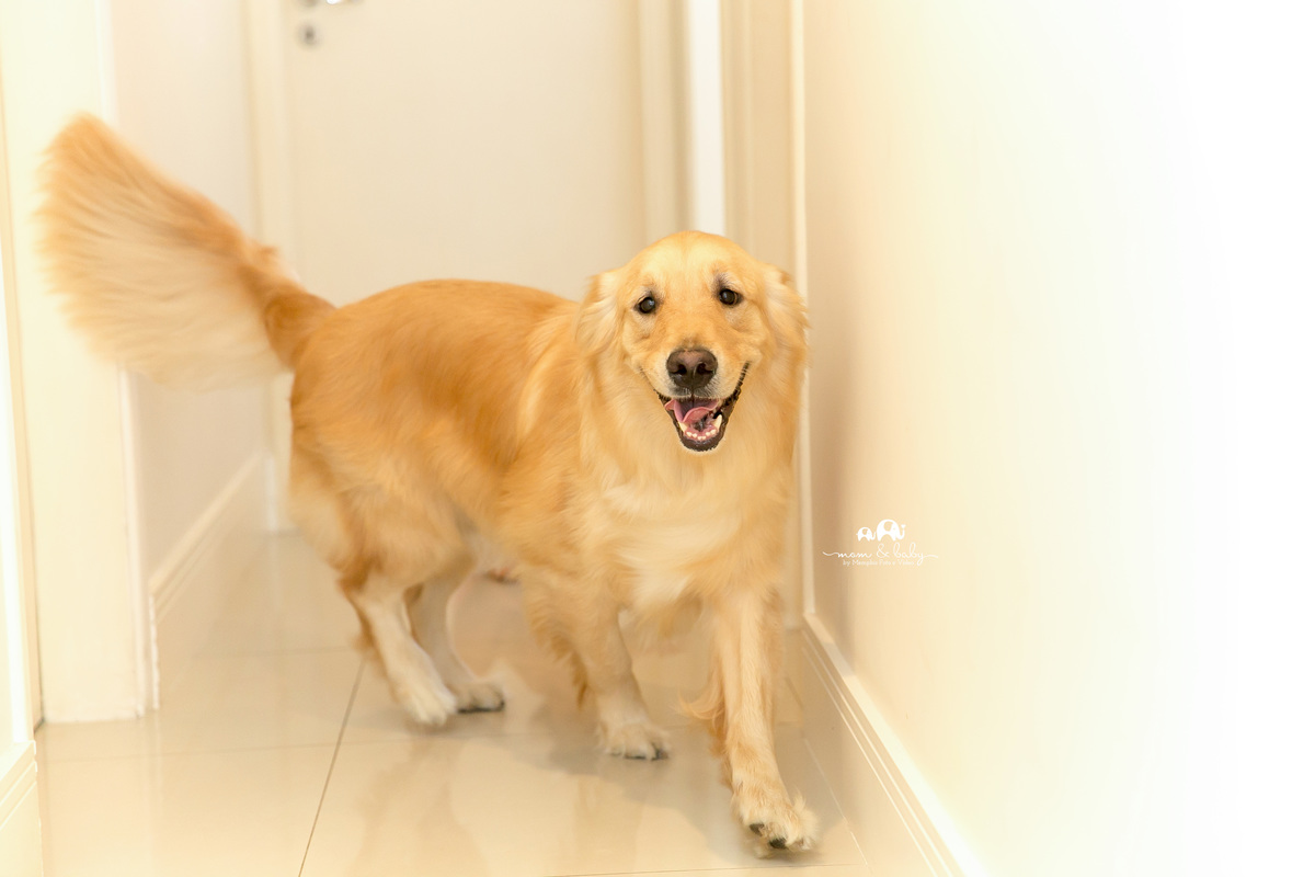 lifestyle em santos, ensaio na casa do cliente fotografas em santos, melhores fotografos de santos, estudio fotografico em santos, santos  sp, ensaio clean jo farah leticia farah mom and baby, mom & baby, ensaio de menina externo, 