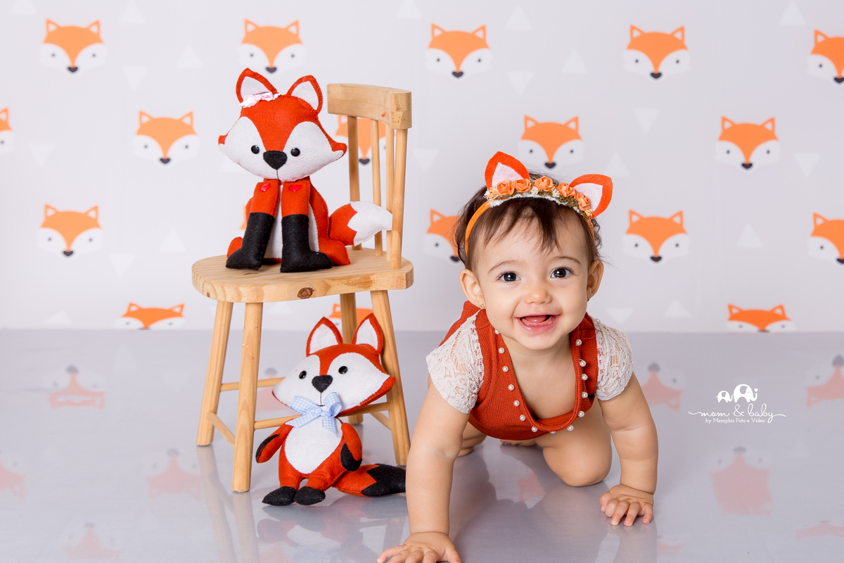 fotografas de santosestudio fotografico em santos,jo farah leticia farah,mom and baby santos,acompanhamento fotografico de bebes em santos,fotos mensais de bebe,melhores fotografas de santos,ensaio de 9 meses,,bebe menina, raposa , fundo fox