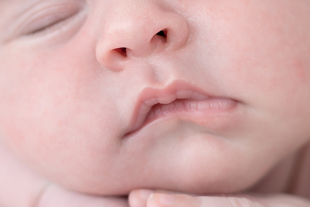 Newborn da Jhade
Marialva - PR