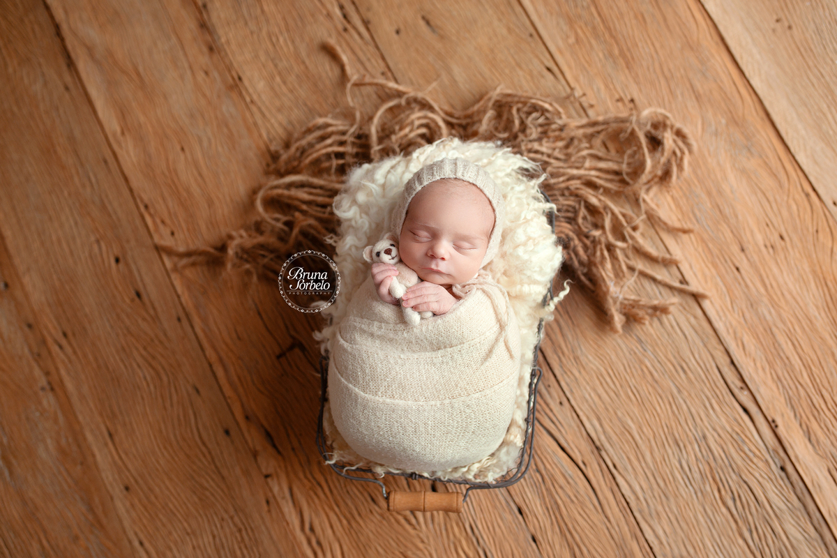 Book-newborn
