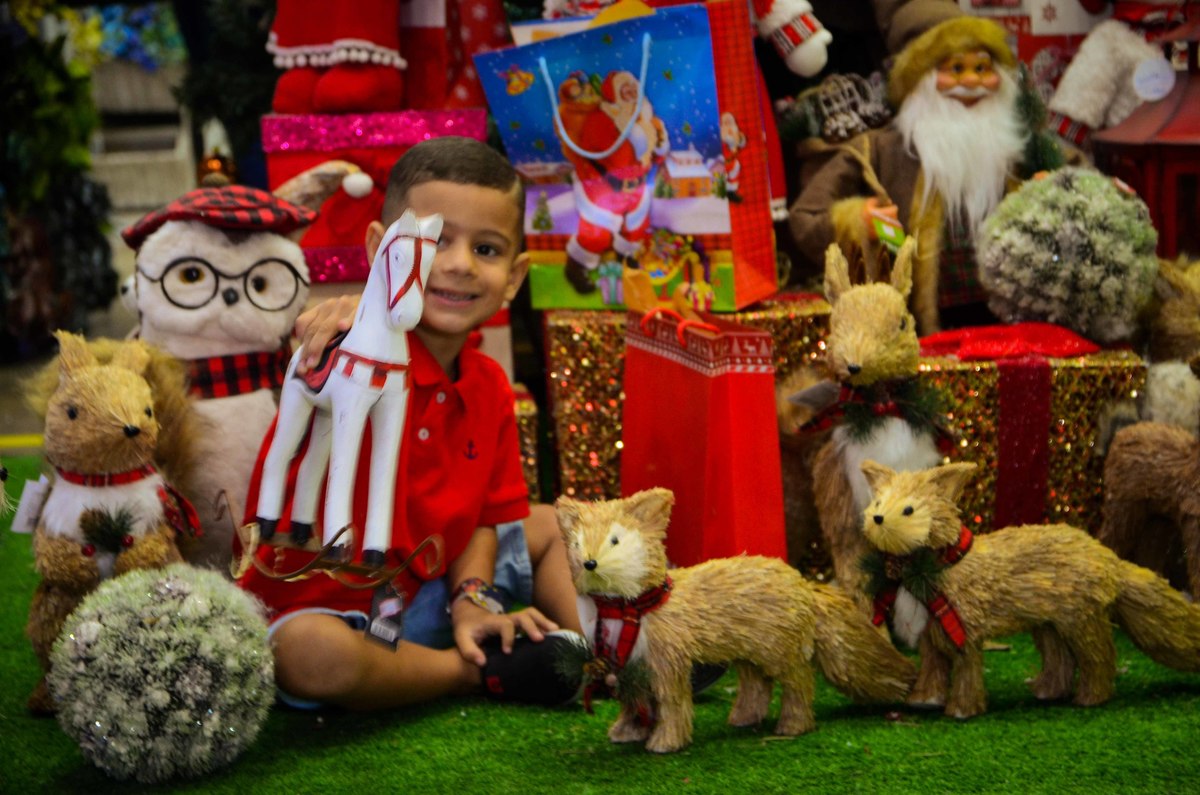 fotos mini ensaio de natal