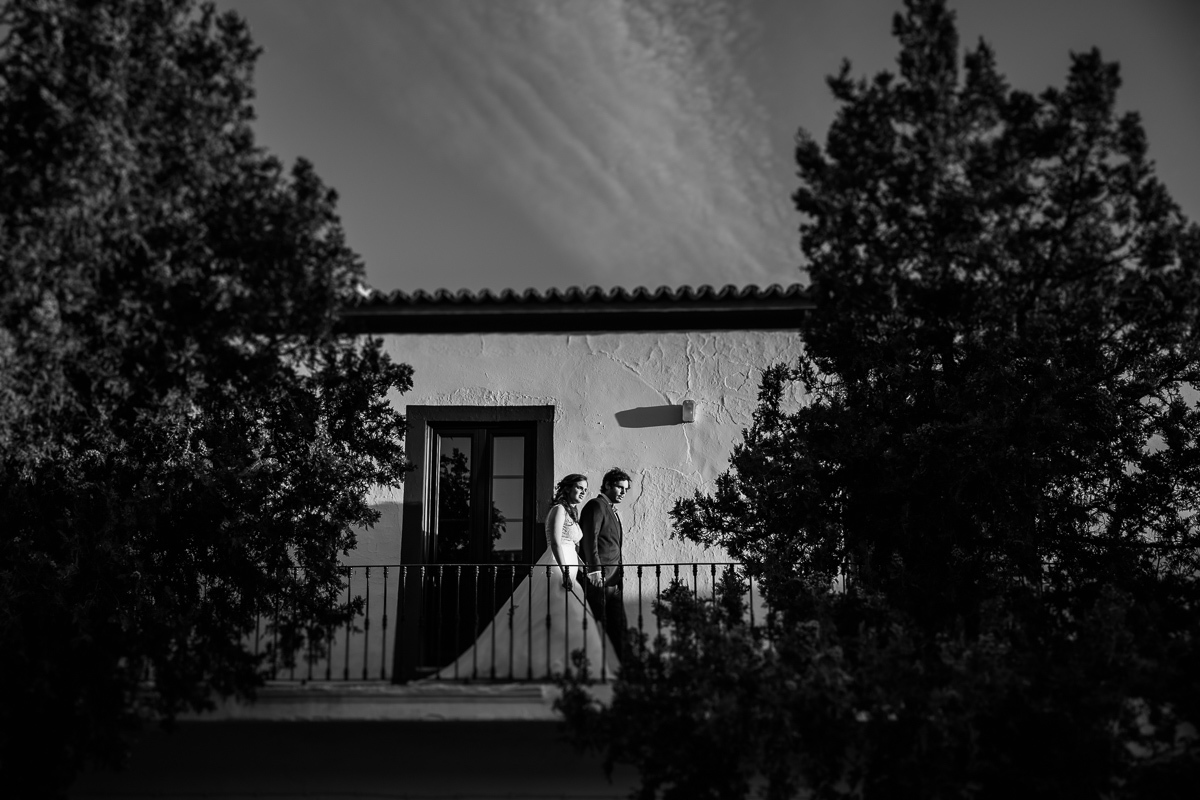 sessão de casados no alentejo