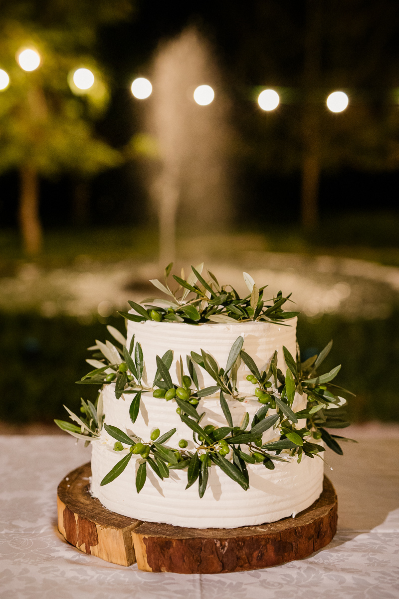 Fotografo de casamento Aveiro, Coimbra, Convento de Sandelgas, Festa de casamento, Sparkle, corte do bolo, bolo de noivos, bolo de casamentos