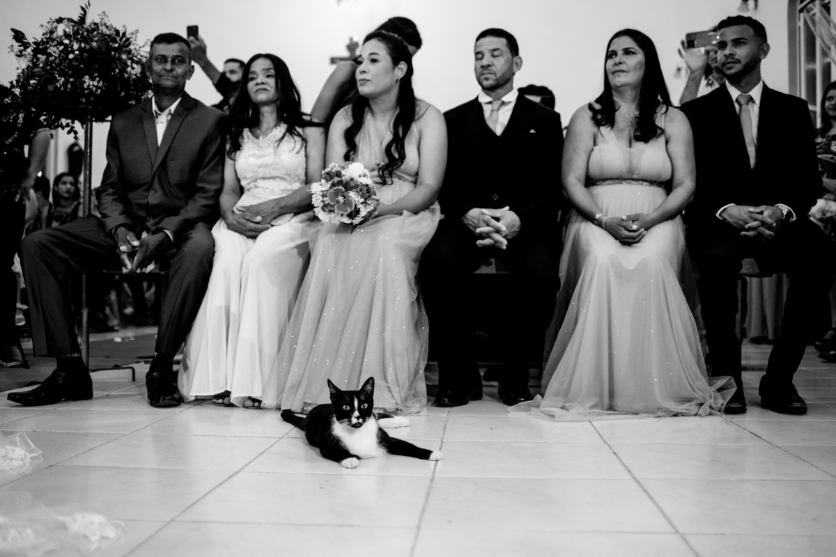 Casamento da Elma e Uarlisson realizado em José Gonçalves de Minas, Fotografado por Leandro Sales.
Wedding, Casamento, Noiva, Dia de Noiva.
Jenipapo de Minas
Berilo
Virgem da Lapa
Francisco Badaró
Araçuaí
Leliveldia
Chapada do Norte