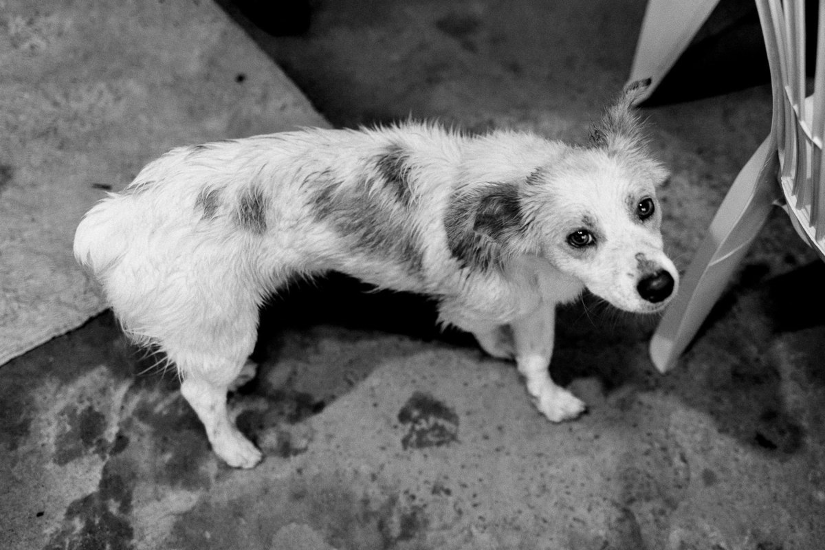 Casamento civil de Isabela e Samuel em José Gonçalves de Minas MG. Fotografia por Leandro Sales, fotógrafo de casamento em Berilo, Virgem da Lapa, Francisco Badaró, Jenipapo de Minas, Araçuaí