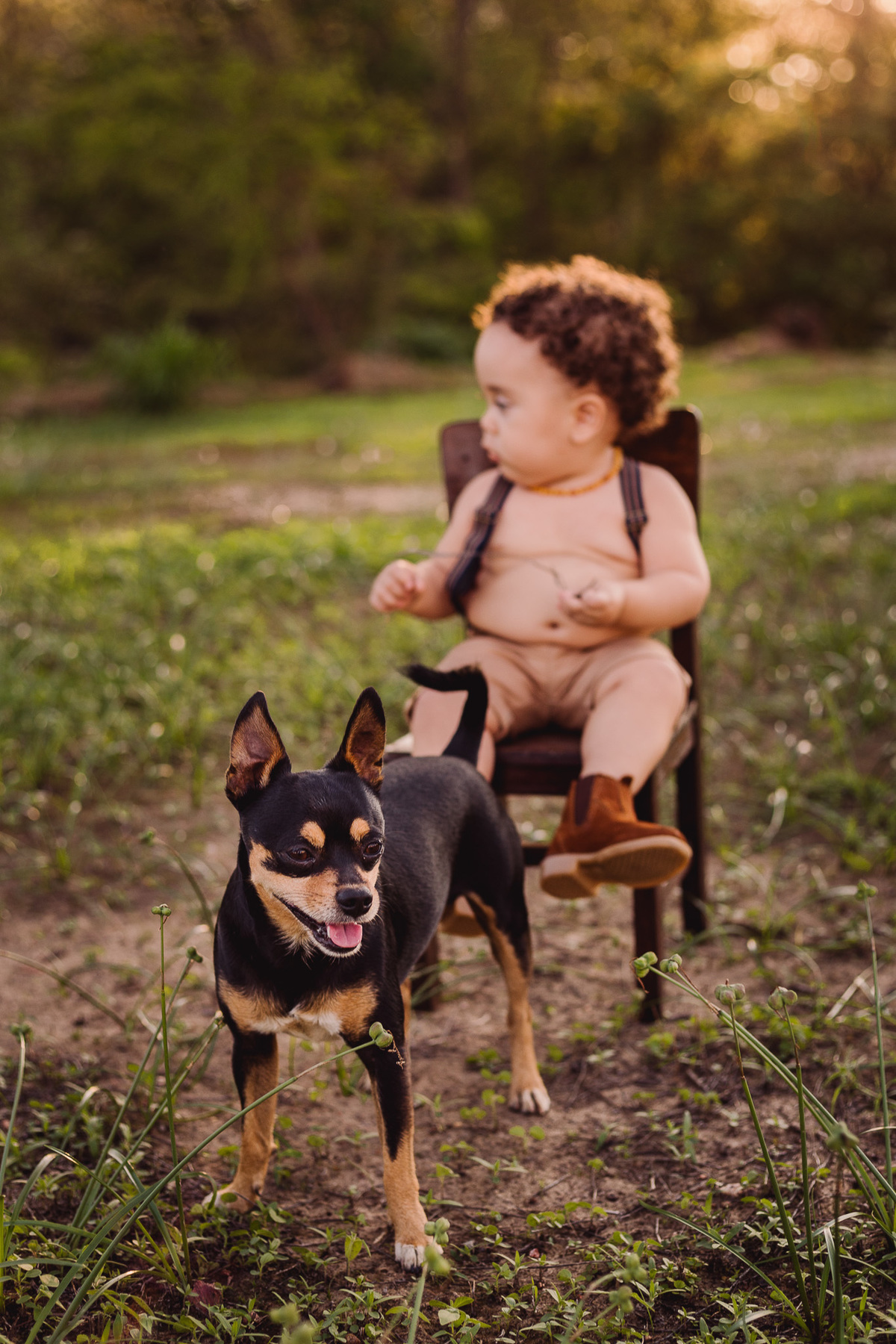 Ensaio fotográfico em família do Joaquim
realizado em Berilo-mg
Fotografo Leandro Sales
Berilo
Virgem da Lapa
José Gonsalves de Minas
Chapada do Norte
Jenipapo de Minas
Araçuaí
Leliveldia
