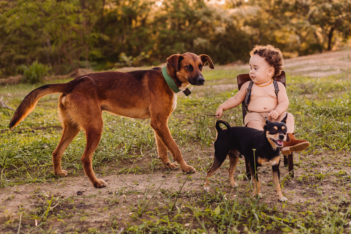 Ensaio fotográfico em família do Joaquim
realizado em Berilo-mg
Fotografo Leandro Sales
Berilo
Virgem da Lapa
José Gonsalves de Minas
Chapada do Norte
Jenipapo de Minas
Araçuaí
Leliveldia
