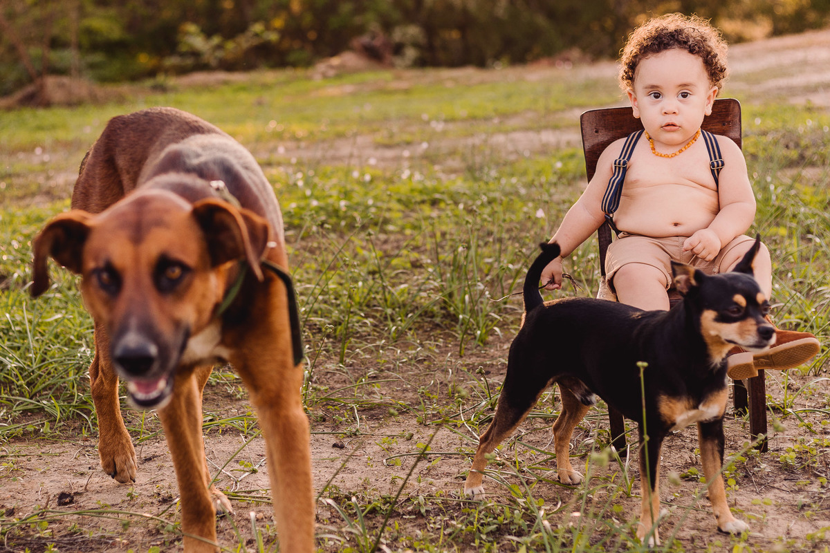 Ensaio fotográfico em família do Joaquim
realizado em Berilo-mg
Fotografo Leandro Sales
Berilo
Virgem da Lapa
José Gonsalves de Minas
Chapada do Norte
Jenipapo de Minas
Araçuaí
Leliveldia
