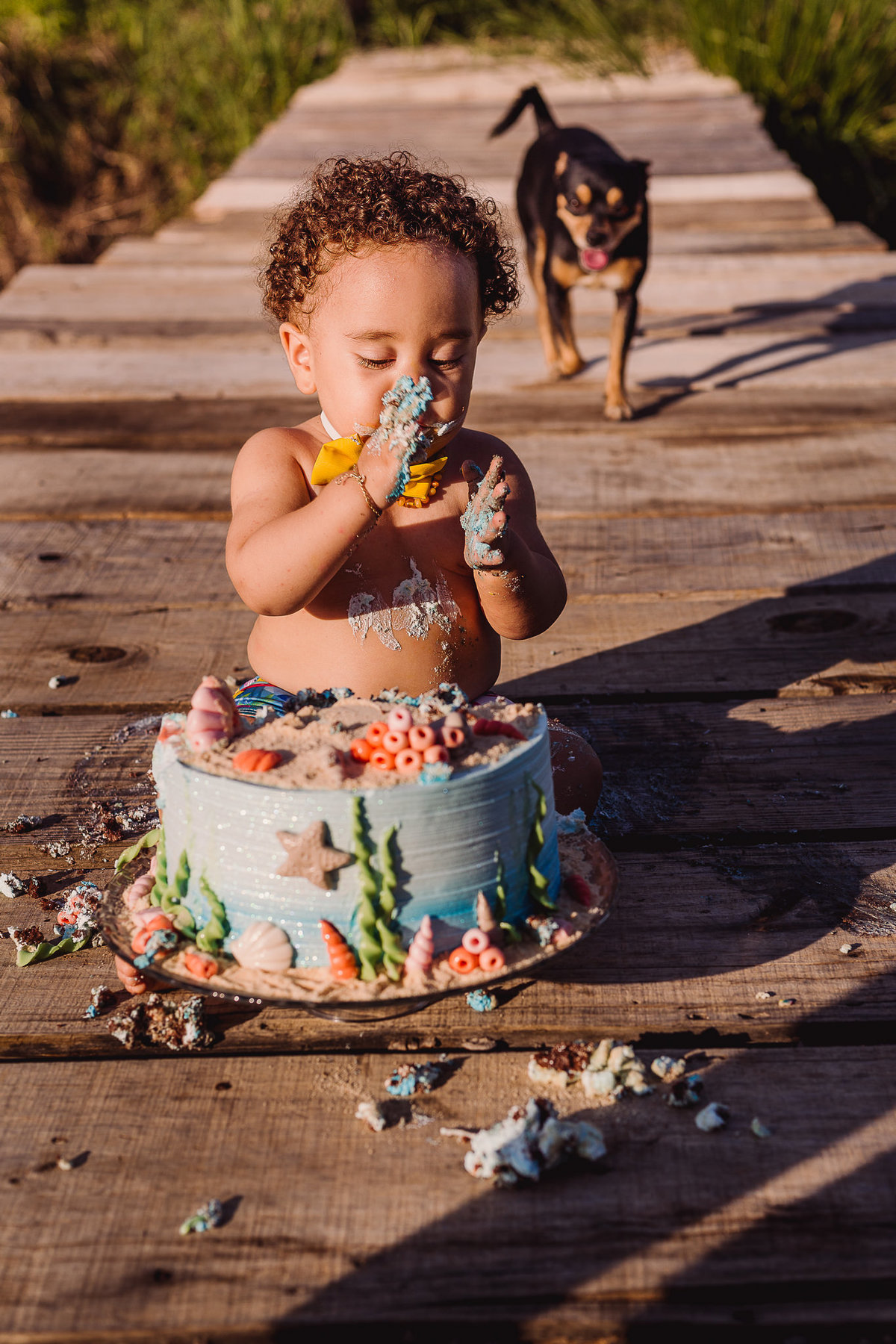 Ensaio fotográfico em família do Joaquim
realizado em Berilo-mg
Fotografo Leandro Sales
Berilo
Virgem da Lapa
José Gonsalves de Minas
Chapada do Norte
Jenipapo de Minas
Araçuaí
Leliveldia
