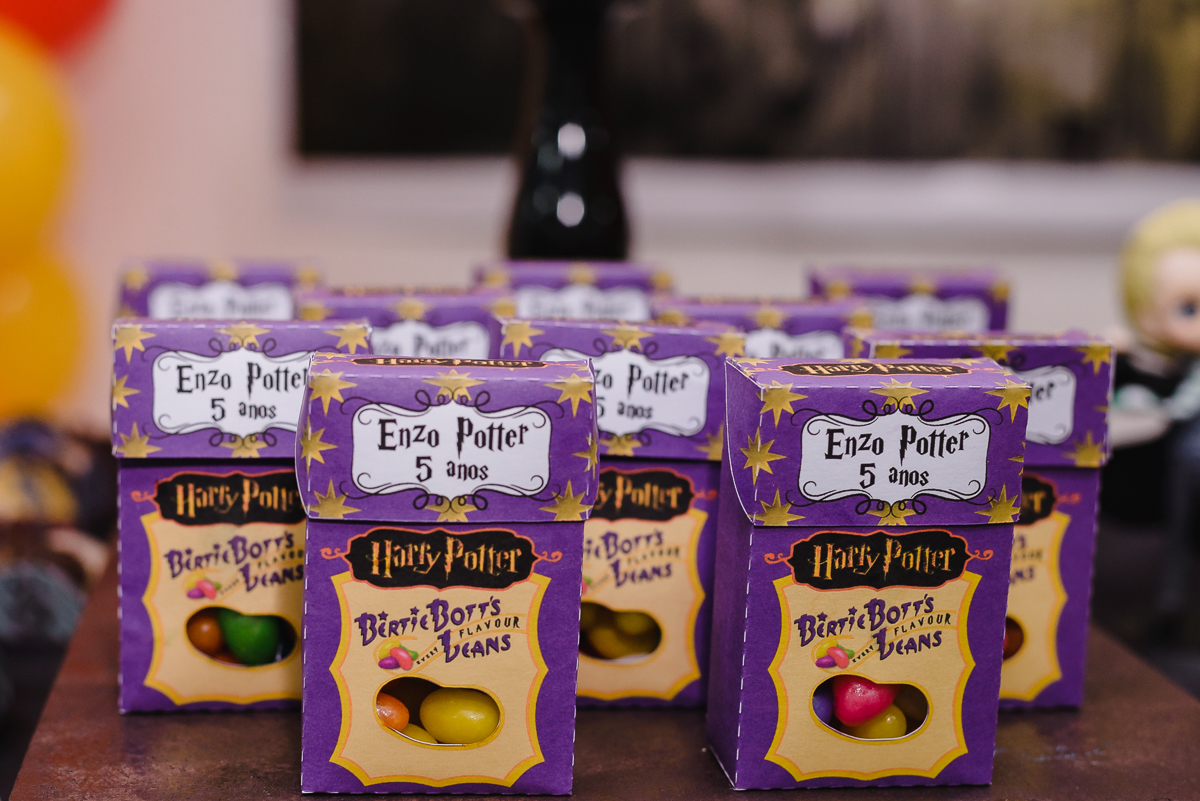 Festa Infantil Harry Potter - Festa do amiguinho Enzo.  Harry potter  birthday, Harry potter theme party, Harry potter bday