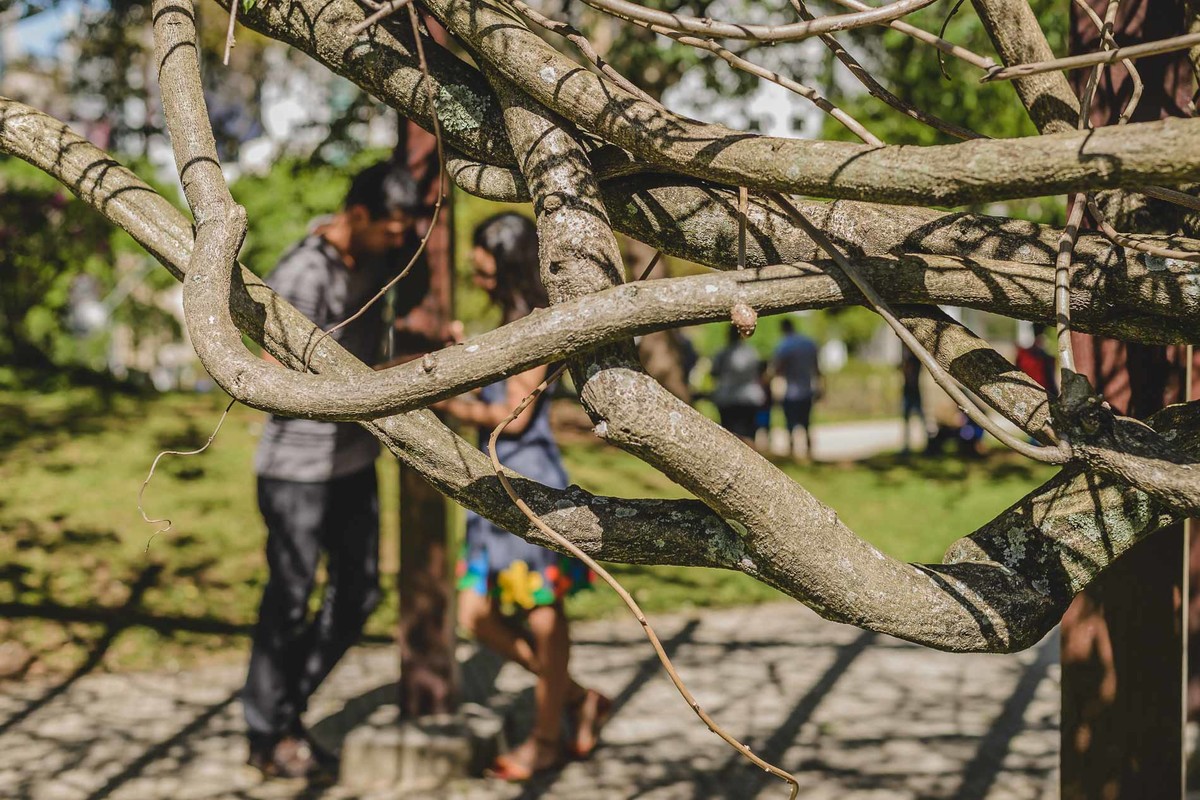 Foto dos Noivos desfocados ao fundo dando as mãos e no primeiro plano galhos entrelaçados na praça Japão no ensaio pré wedding - Curitiba - fotografia Cia P&B Produções 